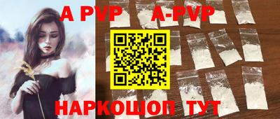 спиды Кингисепп