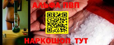 спиды Кингисепп