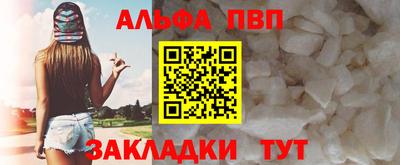 спиды Кингисепп