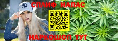 мдпв Кимры