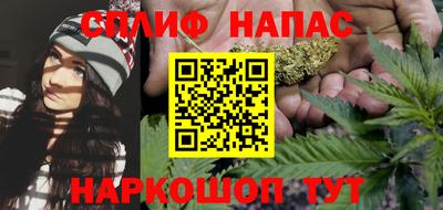 спиды Кингисепп