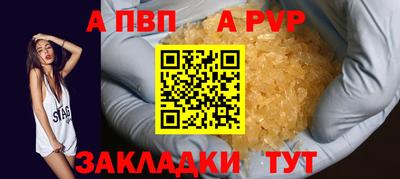 спиды Кингисепп
