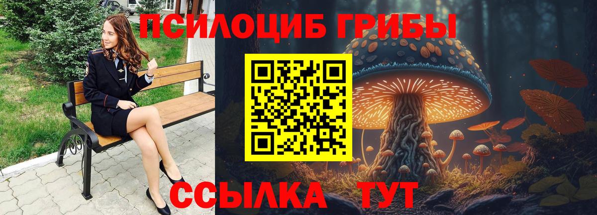 Галлюциногенные грибы Psilocybine cubensis  Вход с VPN  Псилоцибиновые грибы GOLDEN TEACHER  Кинель 